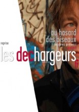 au hasard des oiseaux