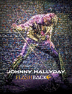 johnny hallyday