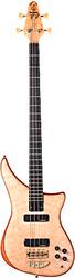 Alembic Epic