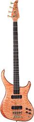 Alembic Orion