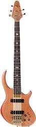 Alembic Rogue