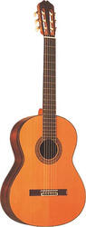 Alvarez CY118