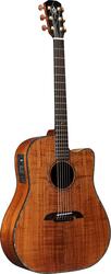 Alvarez DY1CK