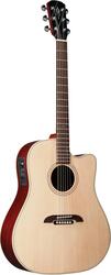Alvarez DY40C