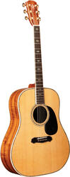 Alvarez DY91