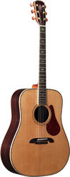 Alvarez DYM500