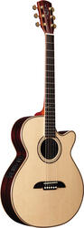 Alvarez PF90SC