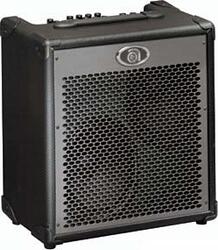 Ampeg PortaBass PBC-228