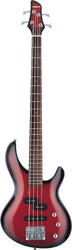 Aria IGB-40
