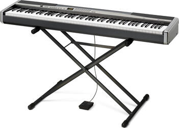 Casio PX-310