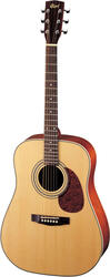 Cort AD 870