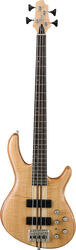 Cort Artisan A4