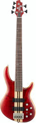 Cort Artisan A5