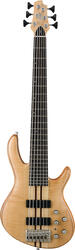 Cort Artisan A6