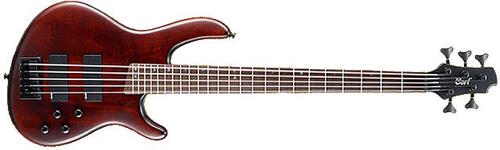 Cort Artisan C5