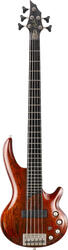 Cort Curbow 5