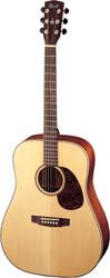 Cort Earth 100