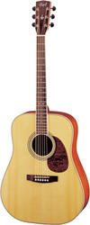 Cort Earth 200