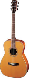 Cort Earth 200GC