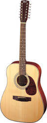 Cort Earth 70-12