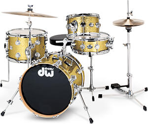 Drum Workshop (DW) Mini-Pro