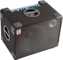 Eden Nemesis NC115