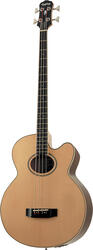 Epiphone El Capitan