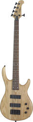 Epiphone Embassy Standard V