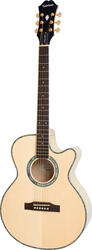 Epiphone Performer SE
