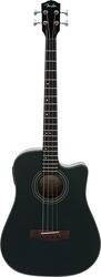 Fender BG29