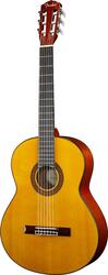 Fender CDN110E