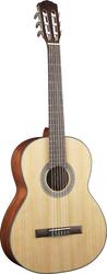 Fender CDN210S