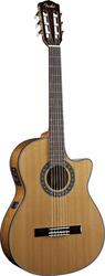 Fender CDN240SCE