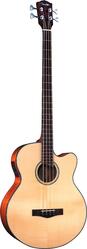 Fender GB41SCE