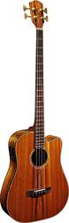 Fender Victor Bailey Signature