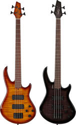 Godin BG-4