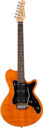 Godin SD