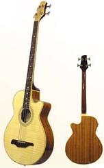 Guvnor GAB 555CE