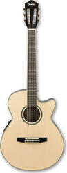 Ibanez AEG10NE