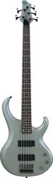 Ibanez BTB205