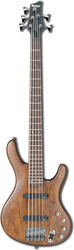 Ibanez EDB555