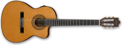 Ibanez GA5TCE