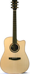 Lakewood D-48 CP