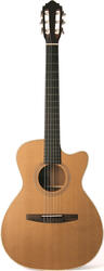 Lakewood M-14 CCP