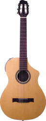 Line 6 Variax Acoustic 300 Nylon