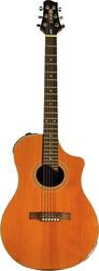 Line 6 Variax Acoustic 700