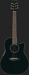 Ovation CSE24