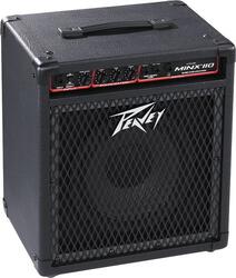 Peavey MINX 110