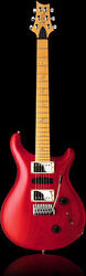 PRS (Paul Reed Smith) Swamp Ash Special