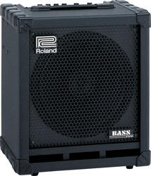 Roland Cube-100 Bass